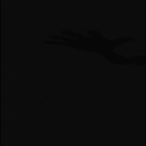 Meet your Posher, Anastacia